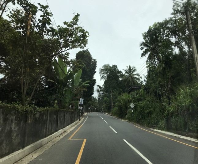 Gadaladeniya – Paranapattiya Road